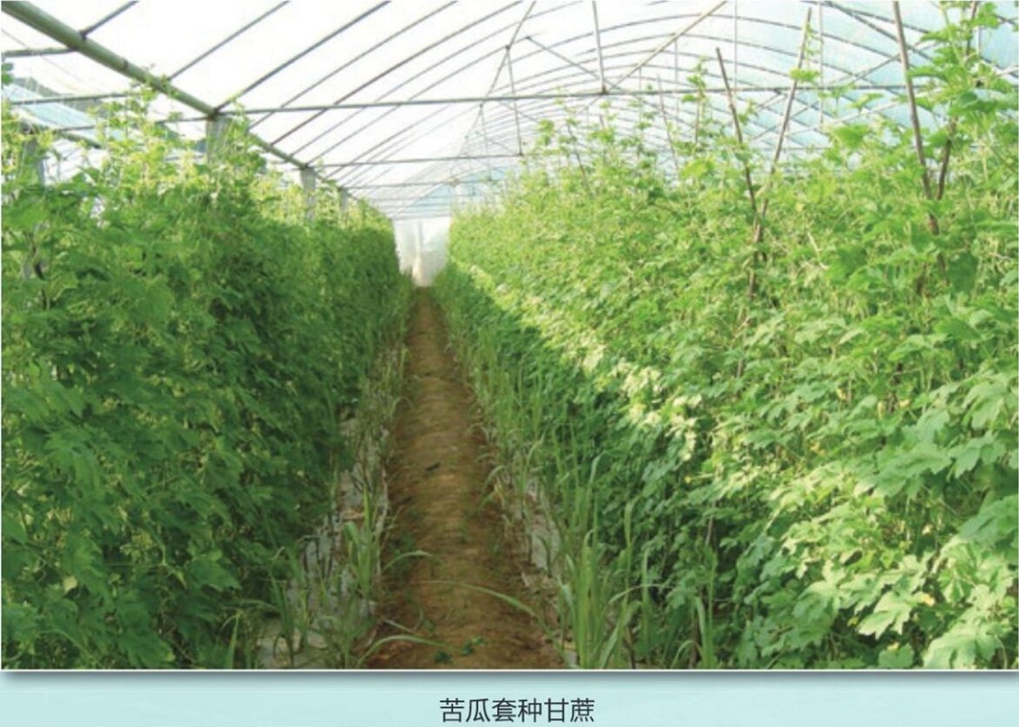 QQ截图20210421173403_眸目压缩.jpg