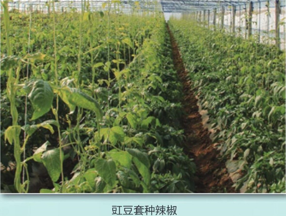 QQ截图20210421173438_眸目压缩.jpg