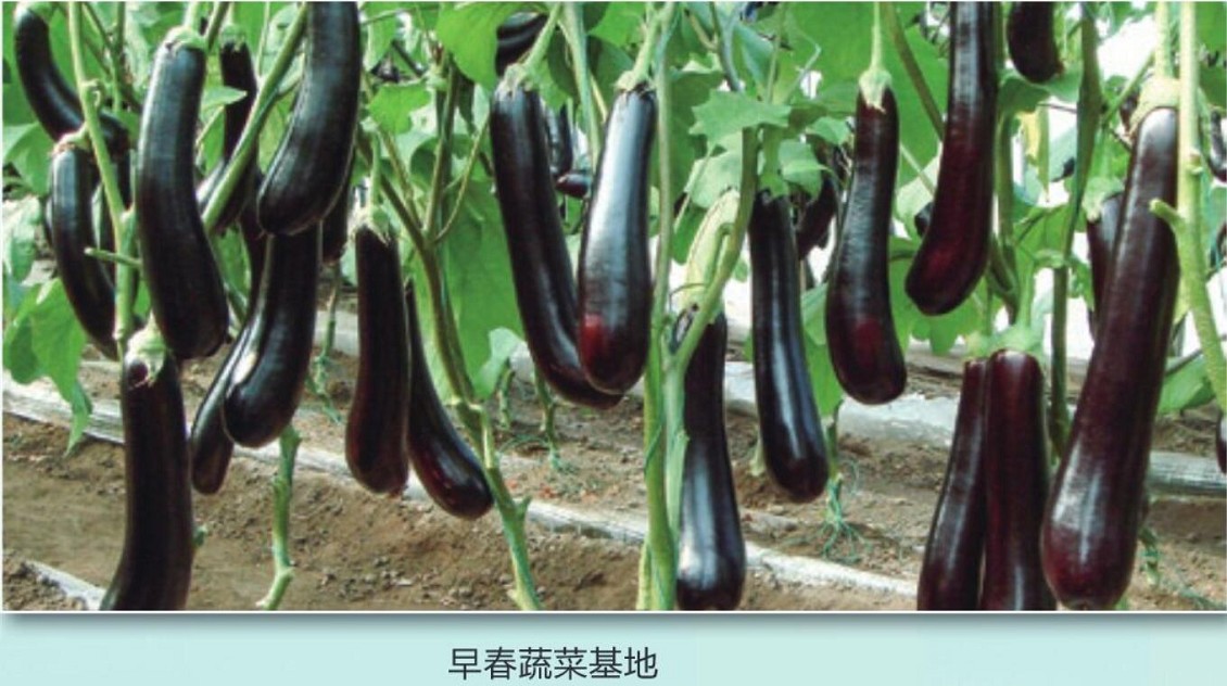QQ截图20210421173544_眸目压缩.jpg