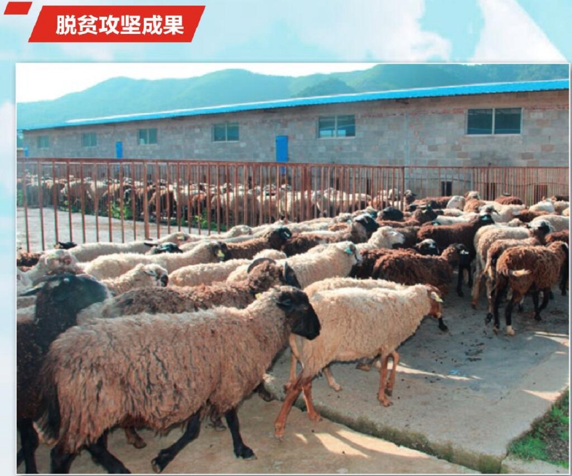 QQ截图20210422101957_眸目压缩.jpg